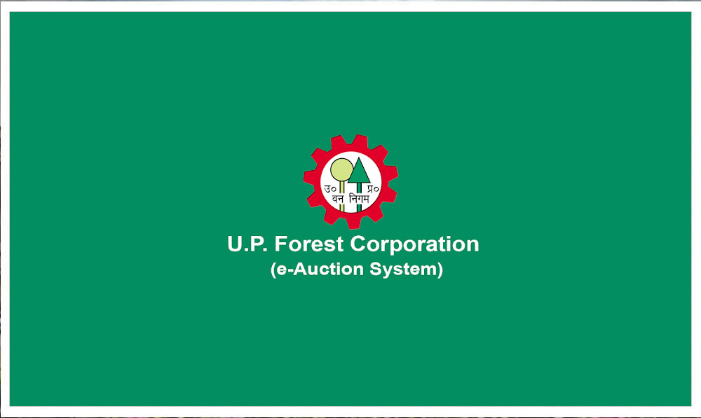 UP Forest Corporation