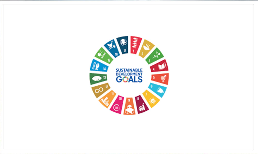 UN SDG-Learn